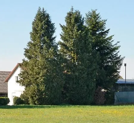 Achhammer Appartement *